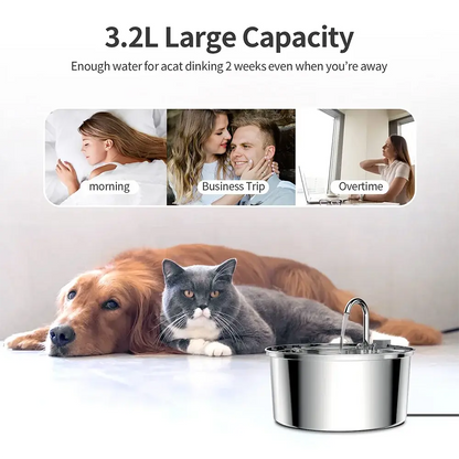 3.2L Premium Stainless Steel Pet Drinking Fountain Pawvora