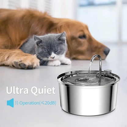 3.2L Premium Stainless Steel Pet Drinking Fountain Pawvora
