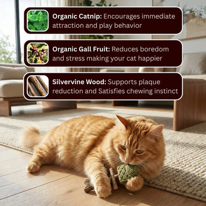 Natural Catnip Fish Chew Toy